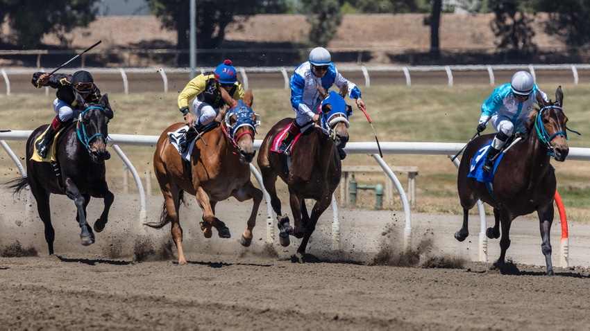 Jockeys race four horses down a racetrack, crops raised
