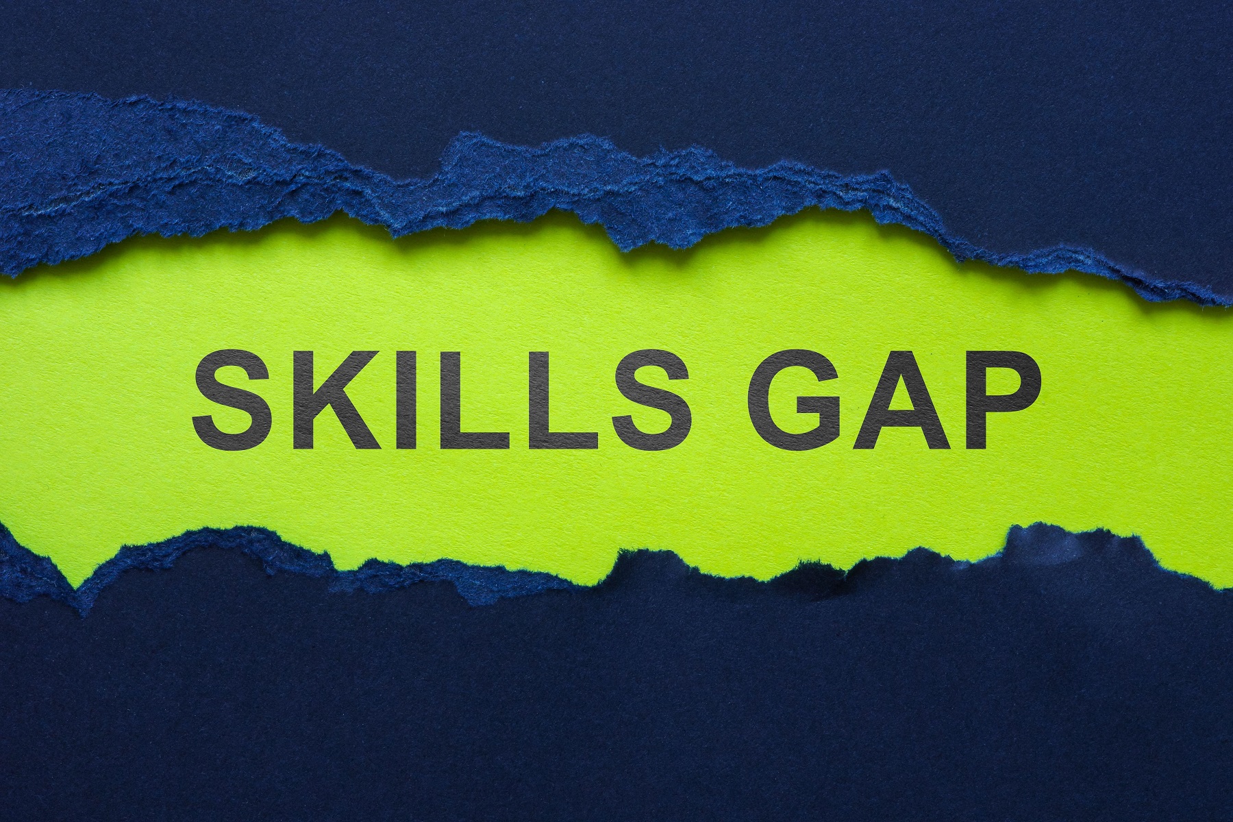 Filling the Cybersecurity Talent Gap