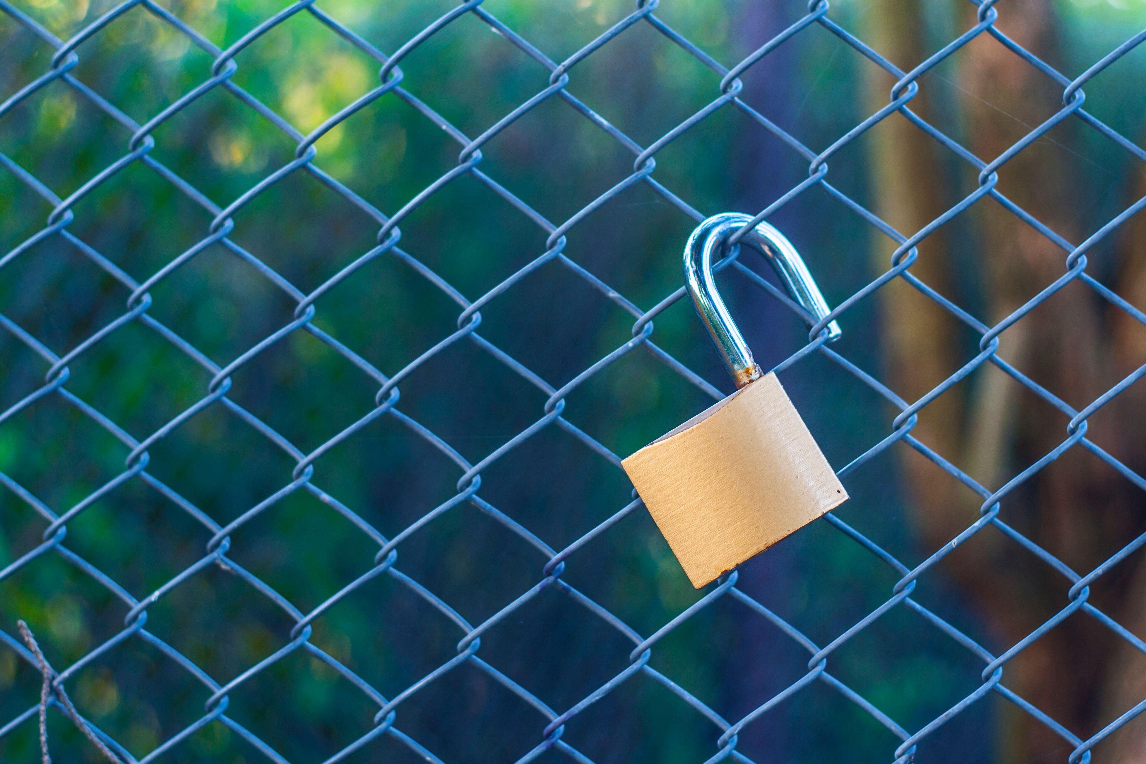 Open padlock hanging on fence wire netting
