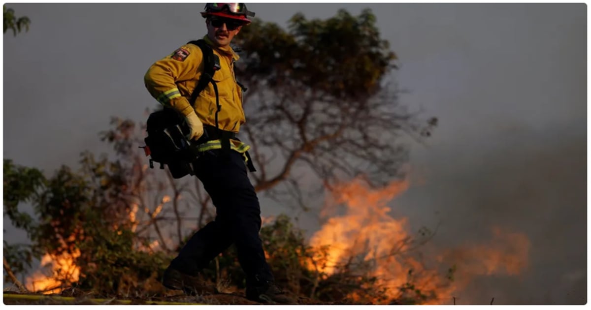Edison CEO: Wildfires could damage California utilities' credit