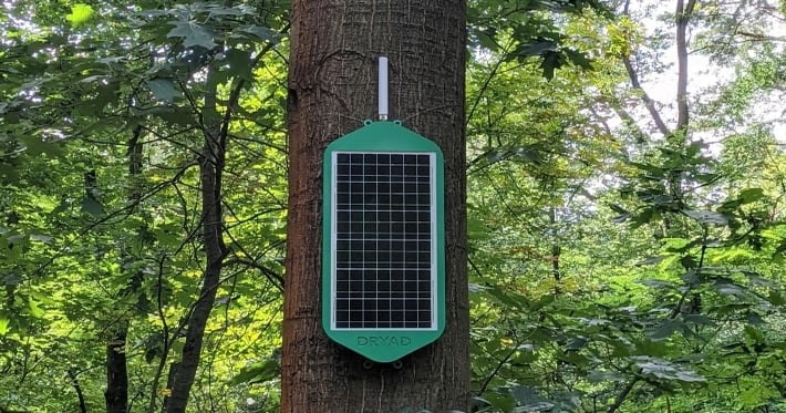 New wildfire-detection sensor acts as ‘electronic nose’