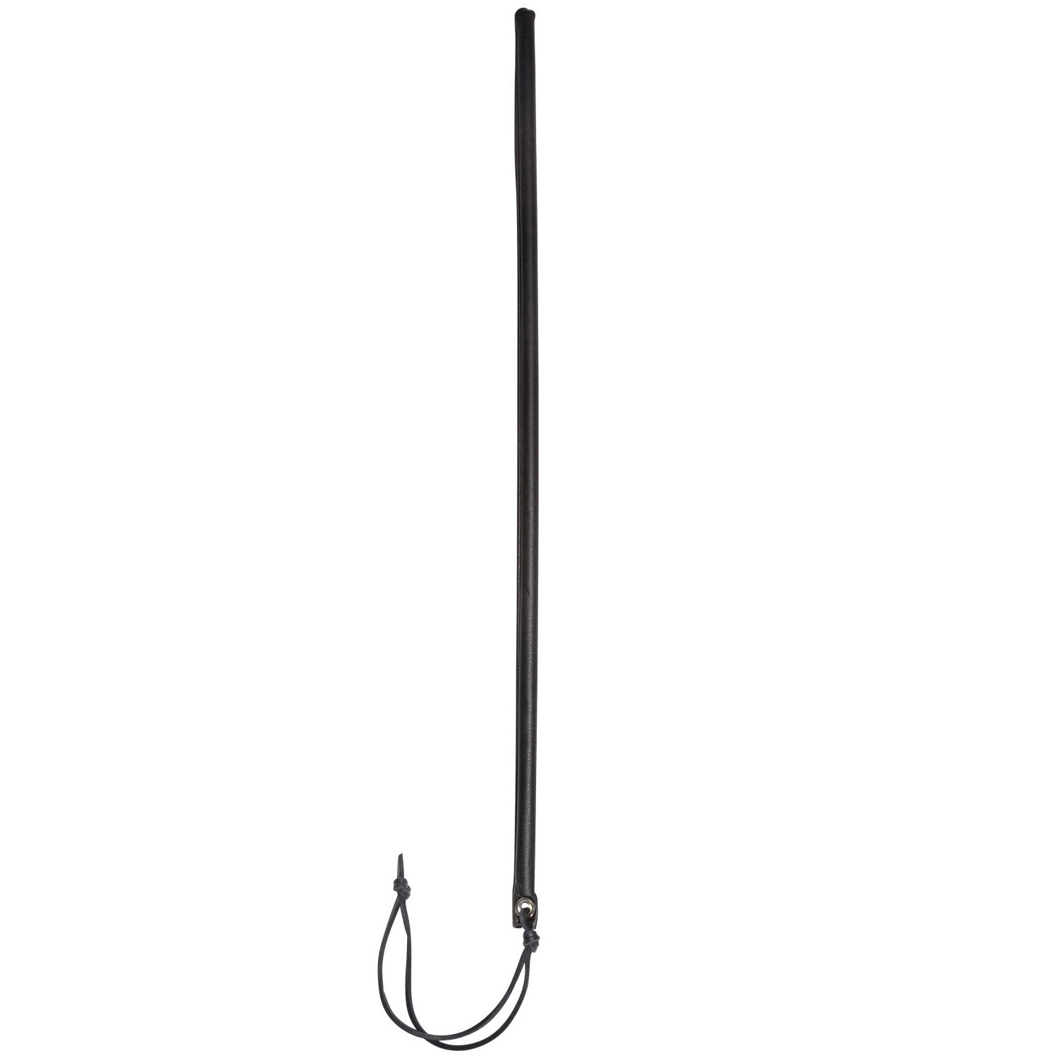 Spartacus Cane Läderpiska var 1