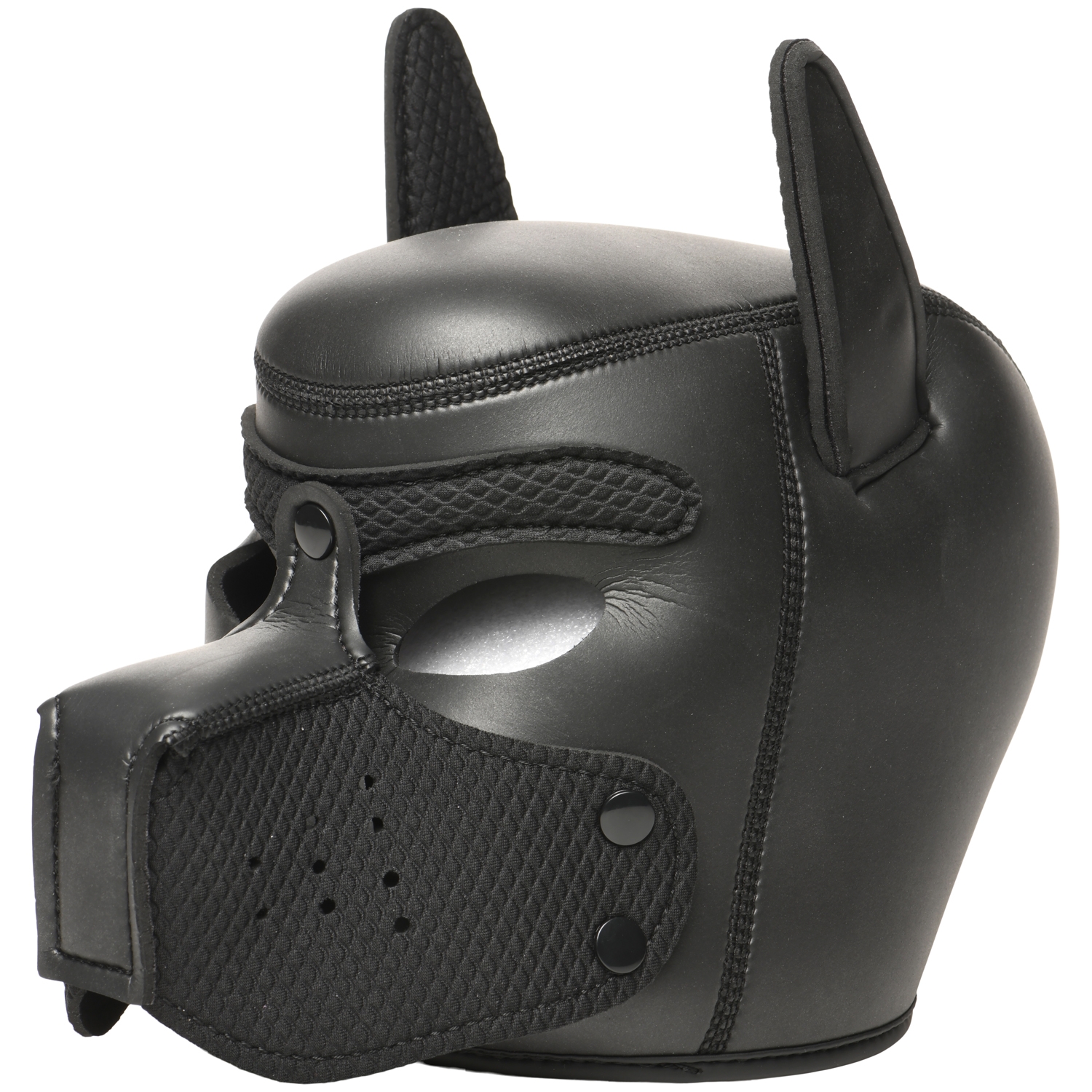 Master Series Deluxe Pup Arsenal Ensemble 1