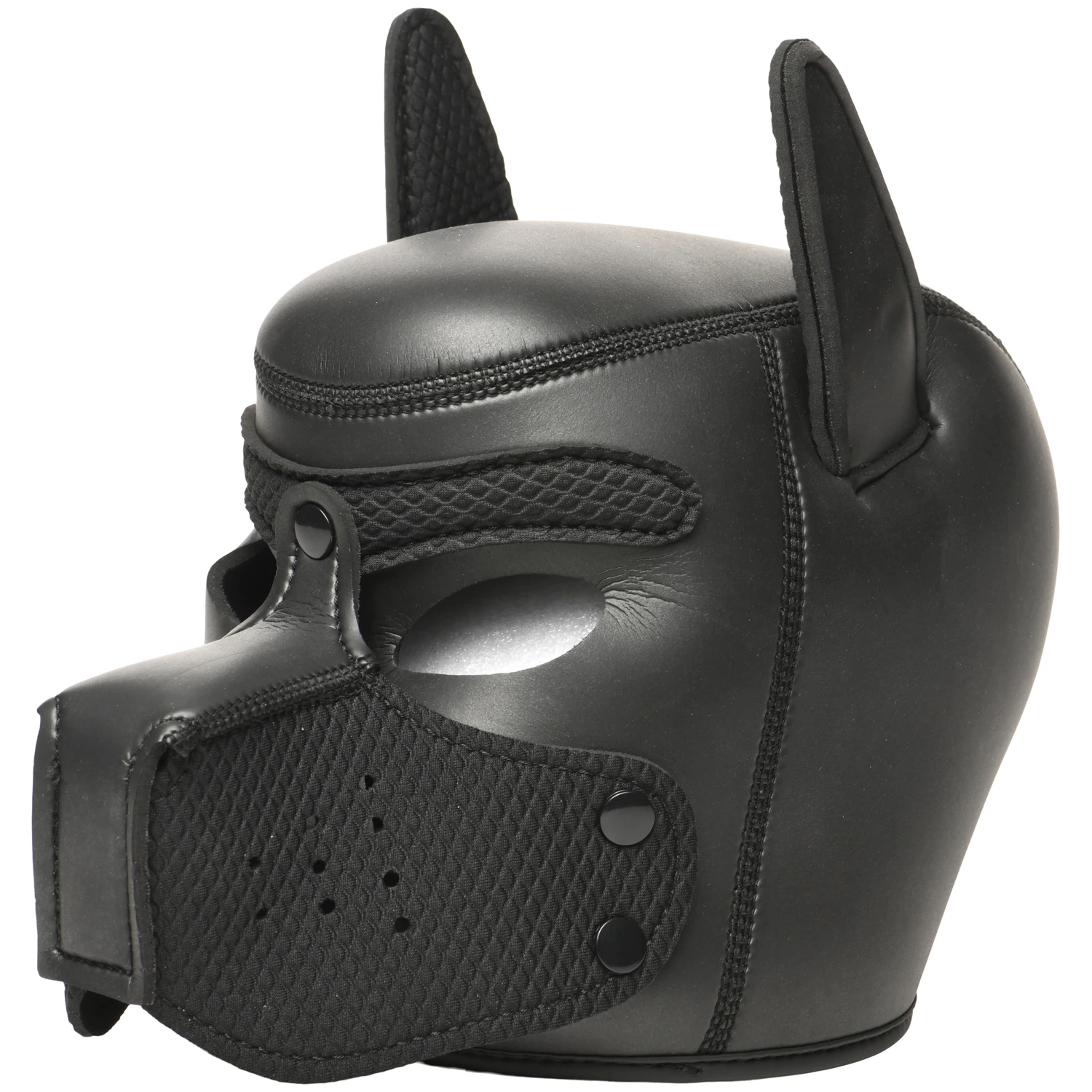 Master Series Deluxe Pup Arsenal Ensemble 1