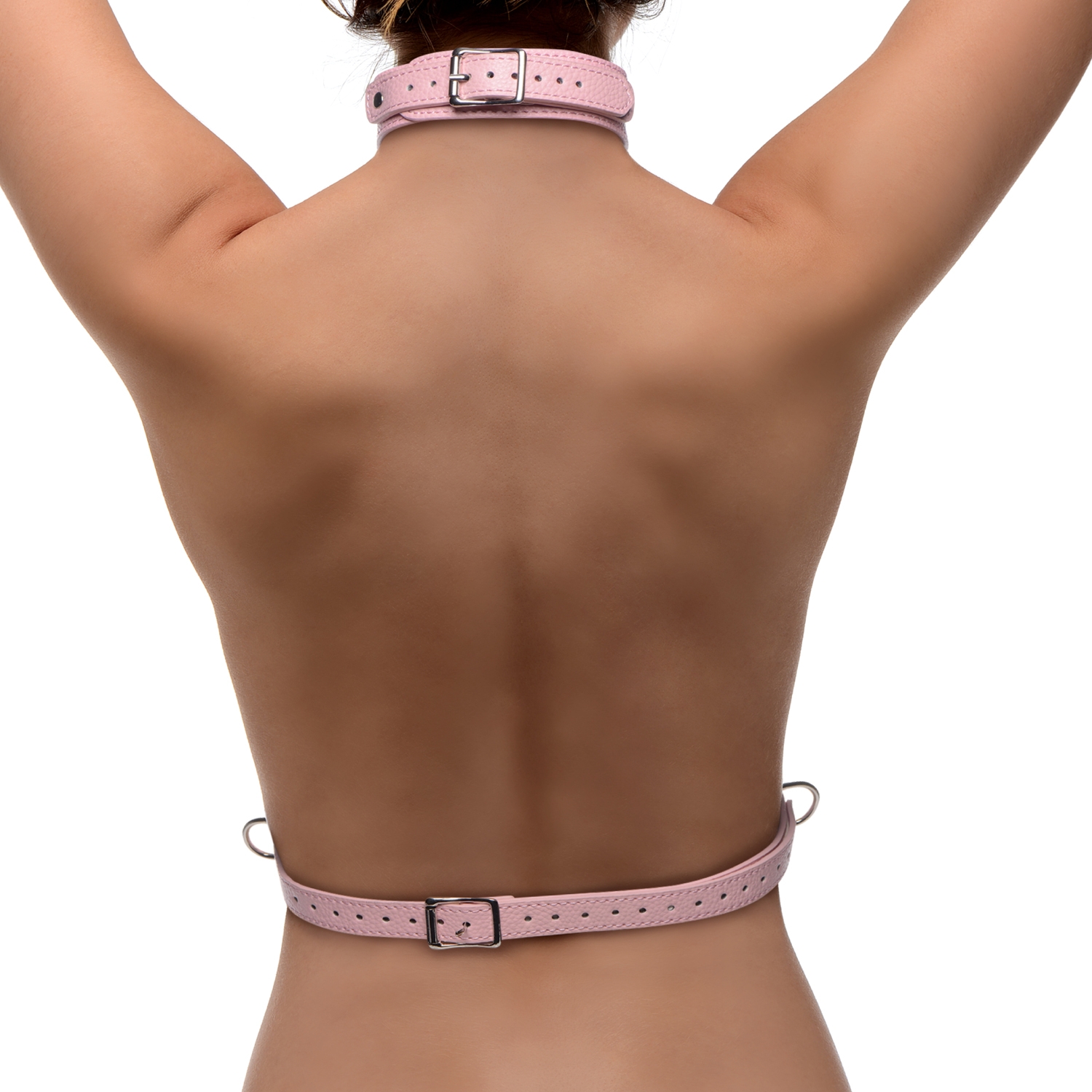 Frisky Miss Behaved Pink Chest Harness - Rosa