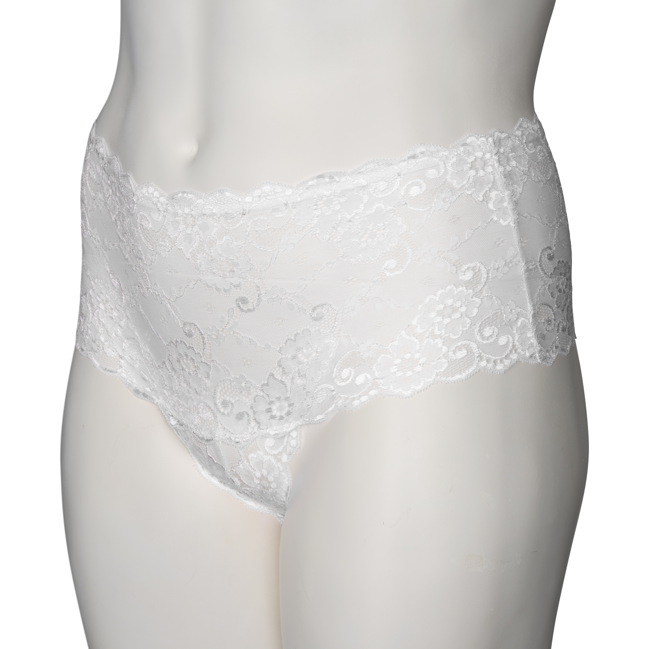 NORTIE Evening-Promise High-Waisted Hipster Plus Size var 2