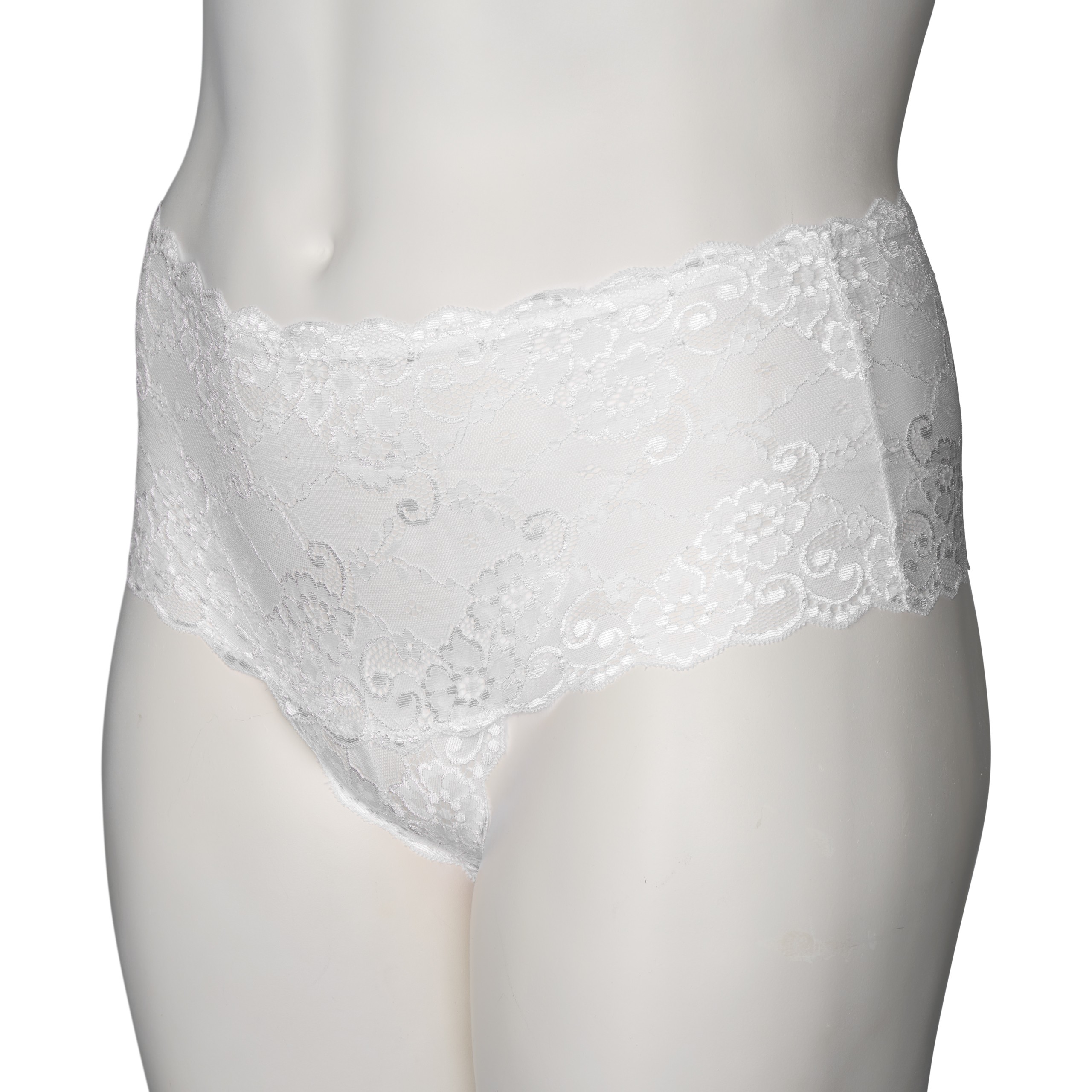 NORTIE Evening-Promise High-Waisted Hipster Plus Size var 2