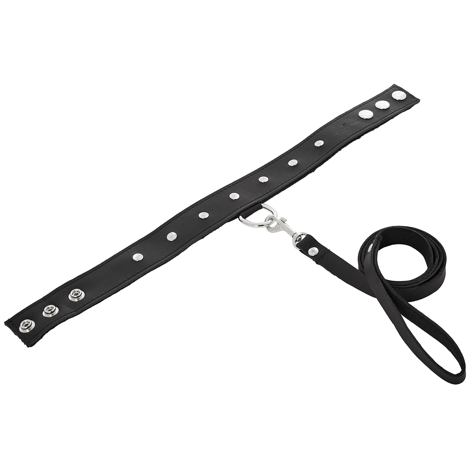 Sportsheets Lederhalsband mit Leine 1
