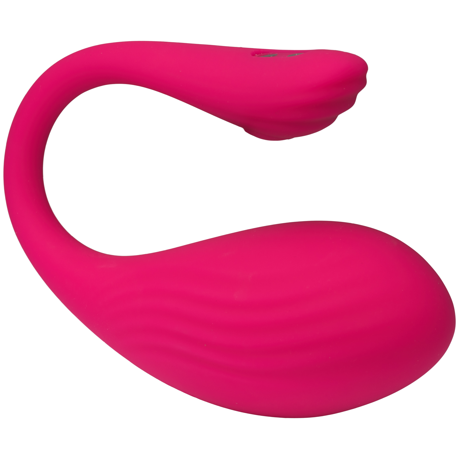 Tracy&#x27;s Dog Ferngesteuertes Vibrationsei 1