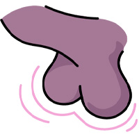 Illustration av två testiklar