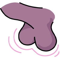 Illustration af to testikler