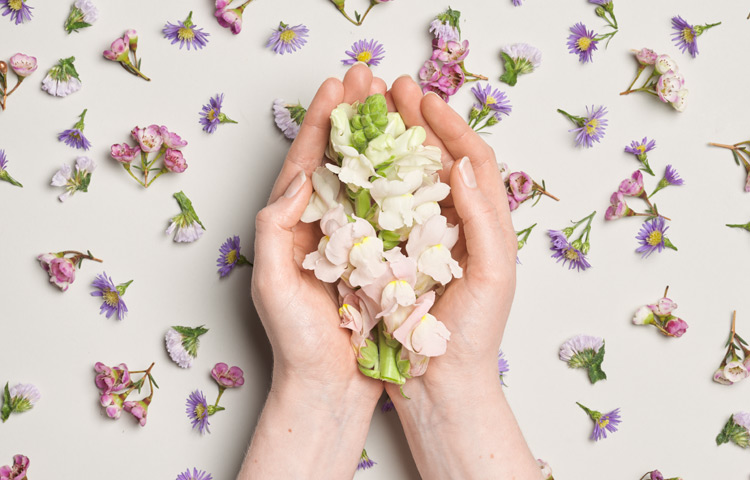 Två kupade händer med blommor i dem på en bakgrund med blommor