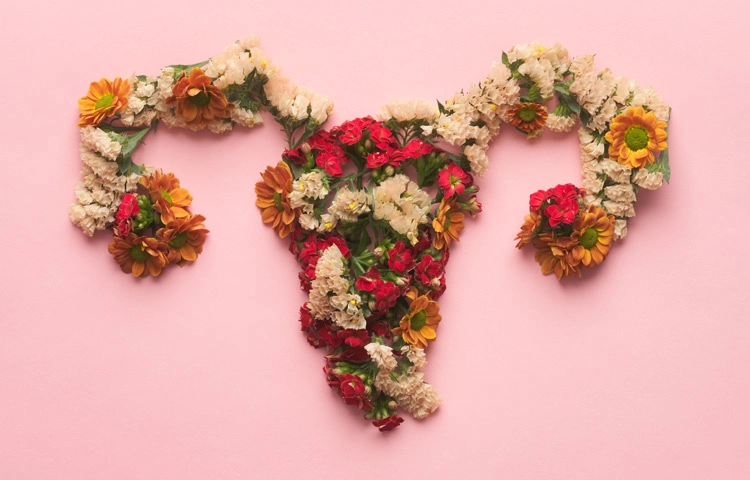 Gebärmutter aus Blumen liegt auf einem rosa Hintegrund