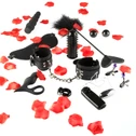 ToyJoy Lovetoy Starter Kit var 1
