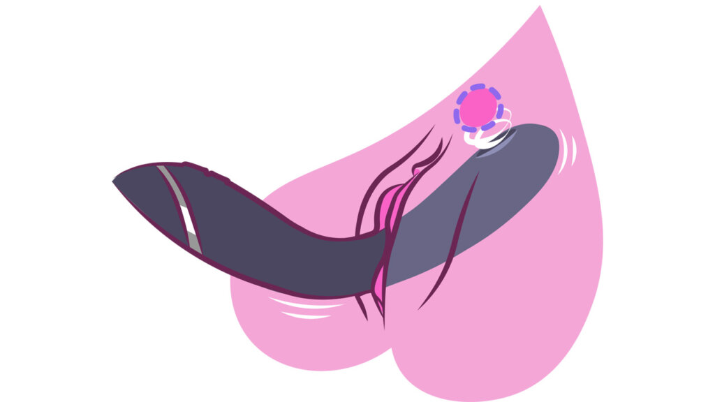 Illustration av en vagina som visar hur en womanizer og ska användas