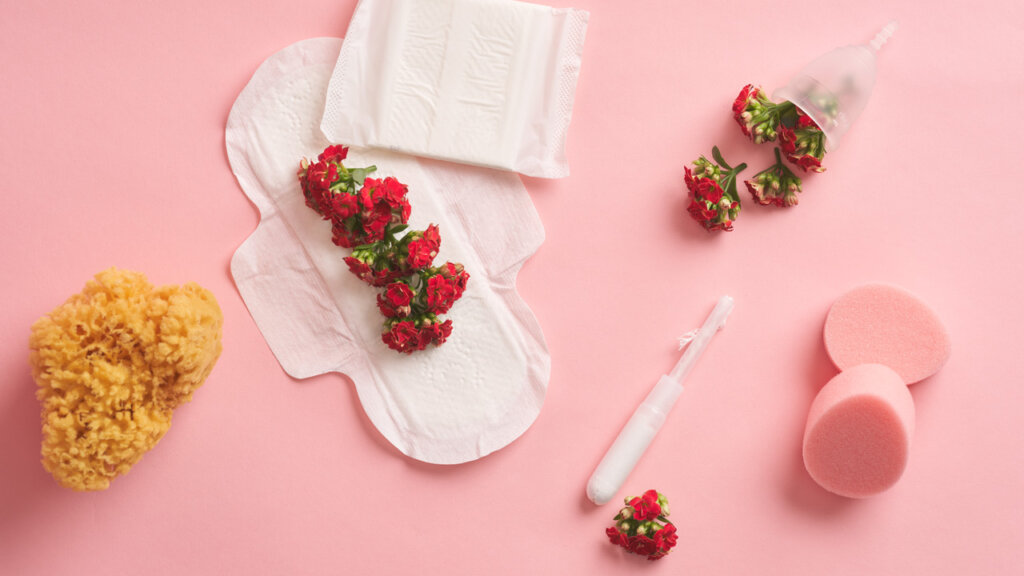 Natursvamp, menstruasjonskopp, tampong, bind, soft tamponger og blomster