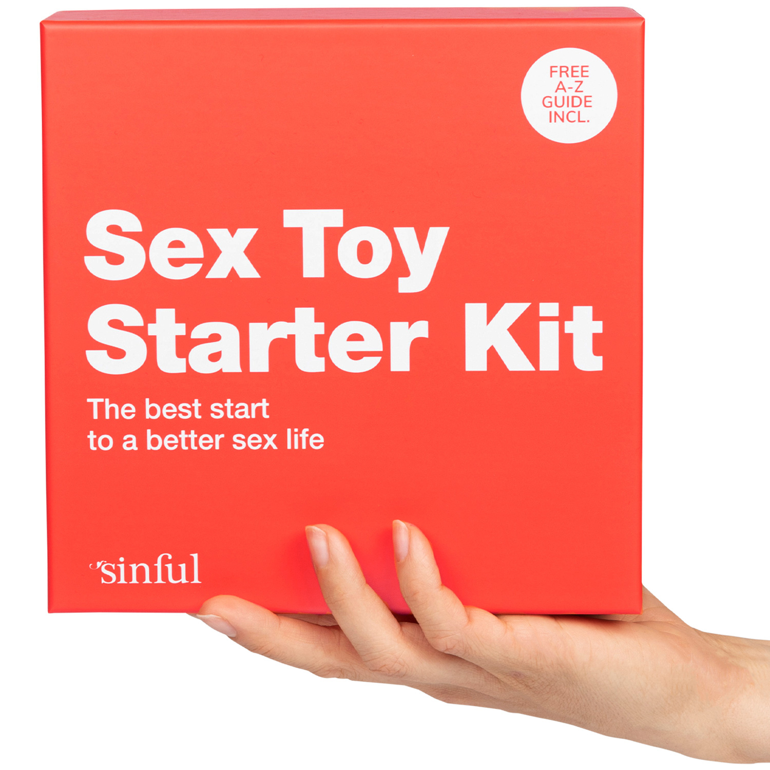 Sinful Sex Toy Starter Kit 1