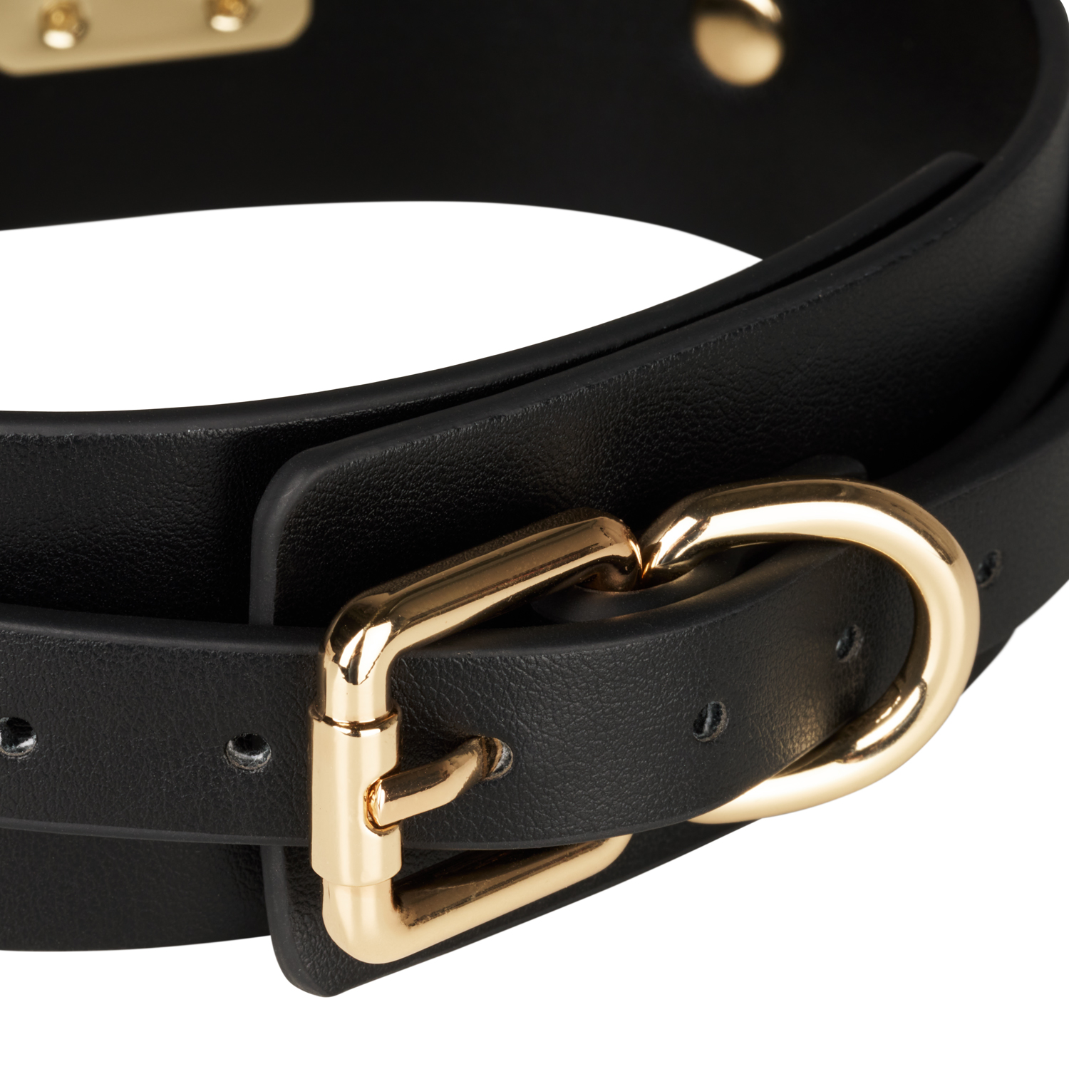 NS Novelties Fetisch & Fashion Katrina Halsband 2