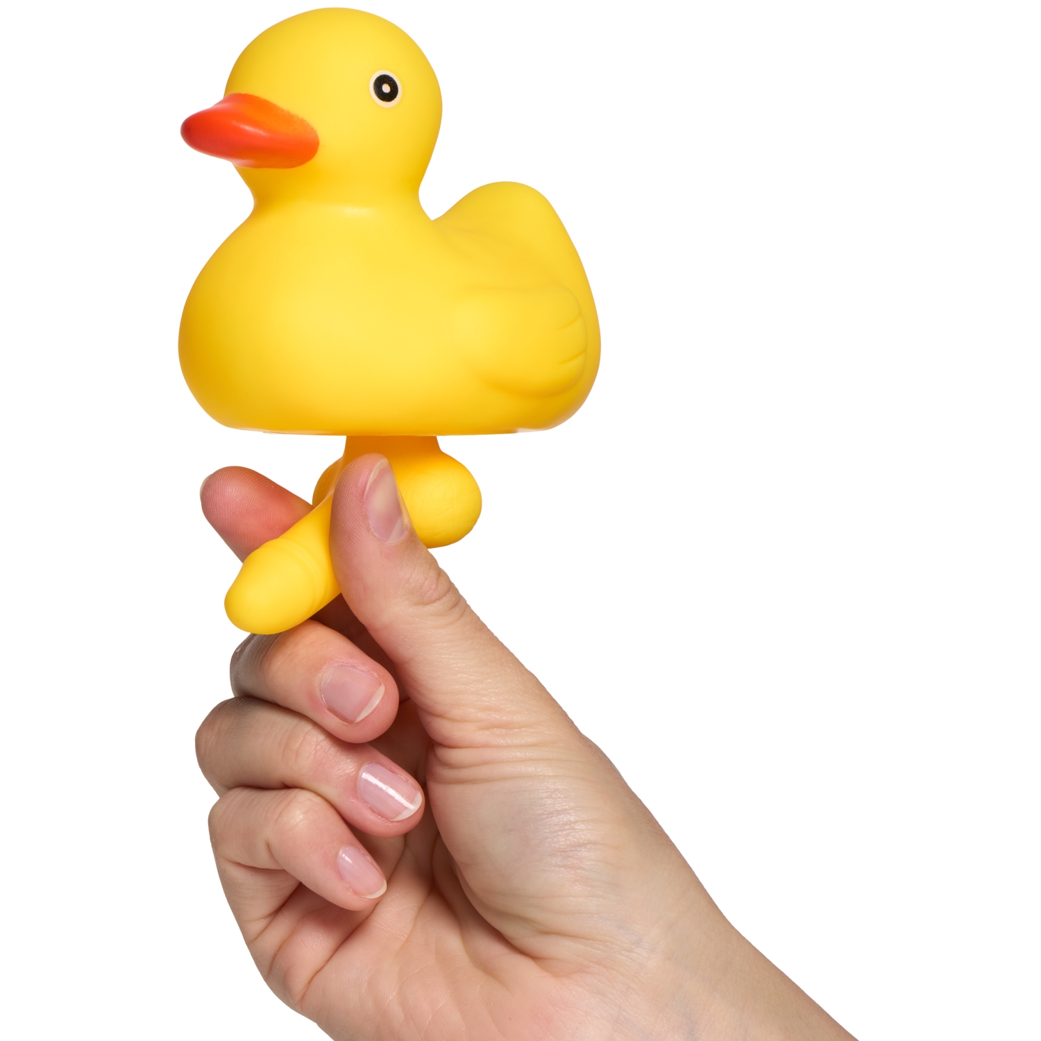 Spencer & Fleetwood Duck with a Dick var 2