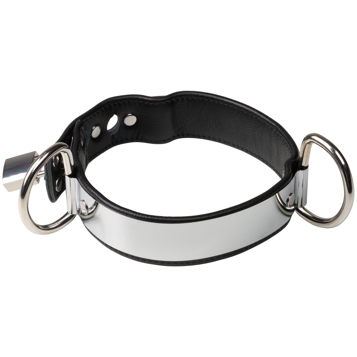 Rimba Leather and Metal Collar var 1