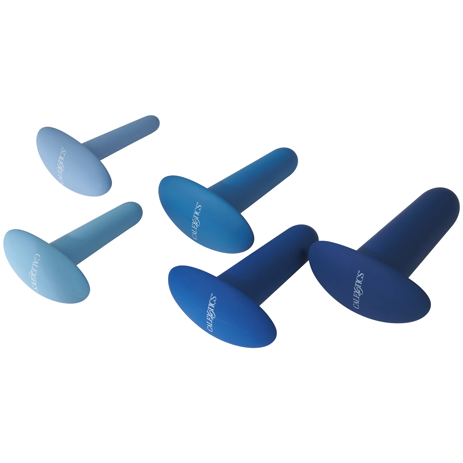 CalExotics They-Ology Ensemble d'Entraînement Anal 1