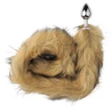 Furry Fantasy Red Fox Tail Buttplug 1