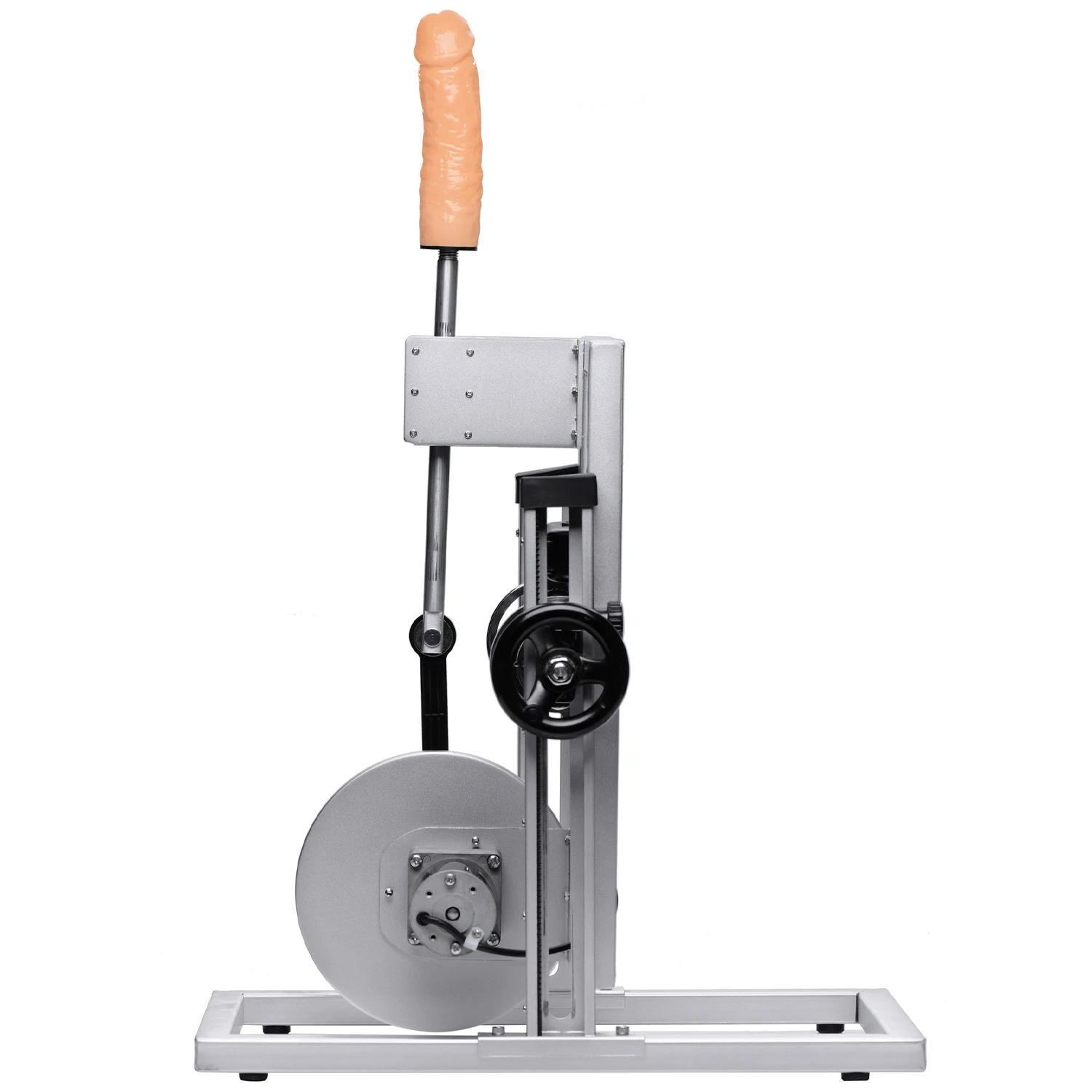 Katta etuk eshak Lily Labeu