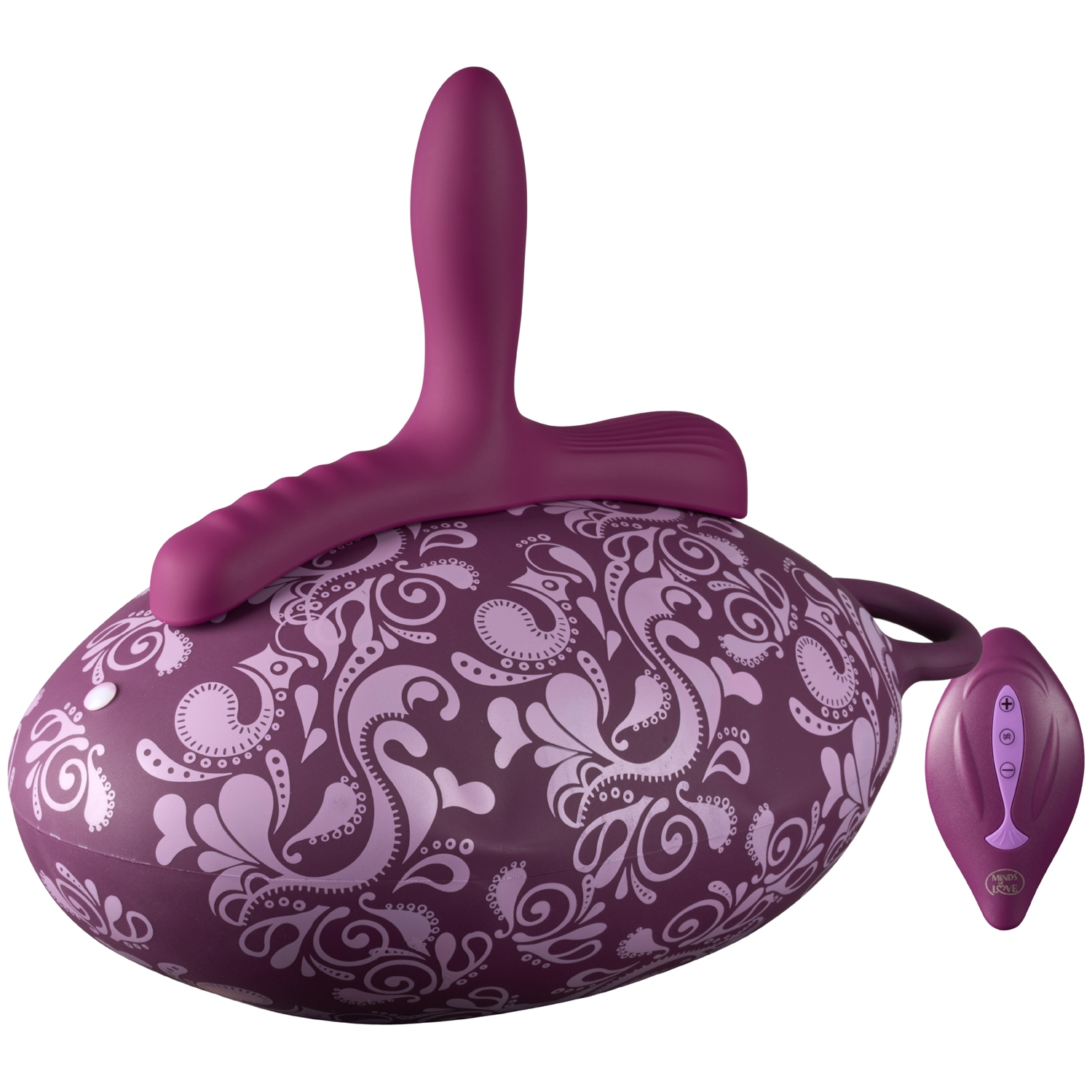 Riding Ball Coussin Vibrant 2