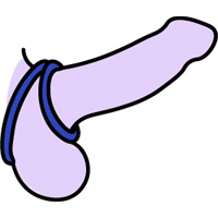 Illustratie van twee cockringen om een penis en ballen