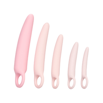 Vaginale dilators