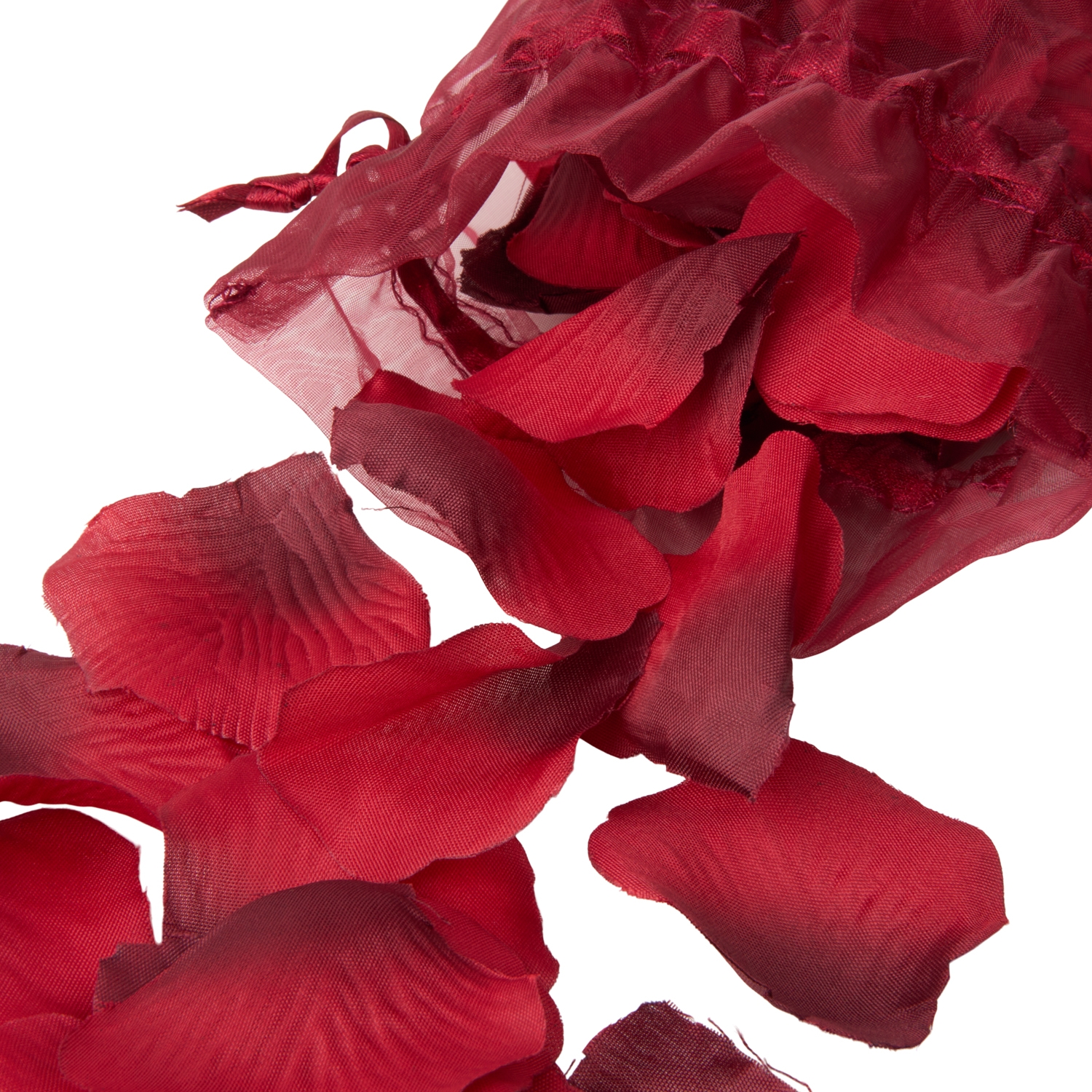 You & Me On A Bed Of Roses! Rosenblüten 1