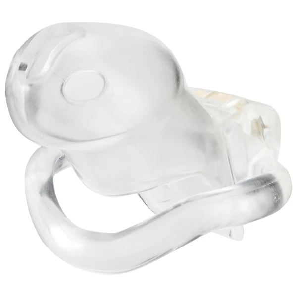 HolyTrainer V2 Kyskhedsbælte Small Klar 1