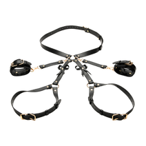 Body harnesses