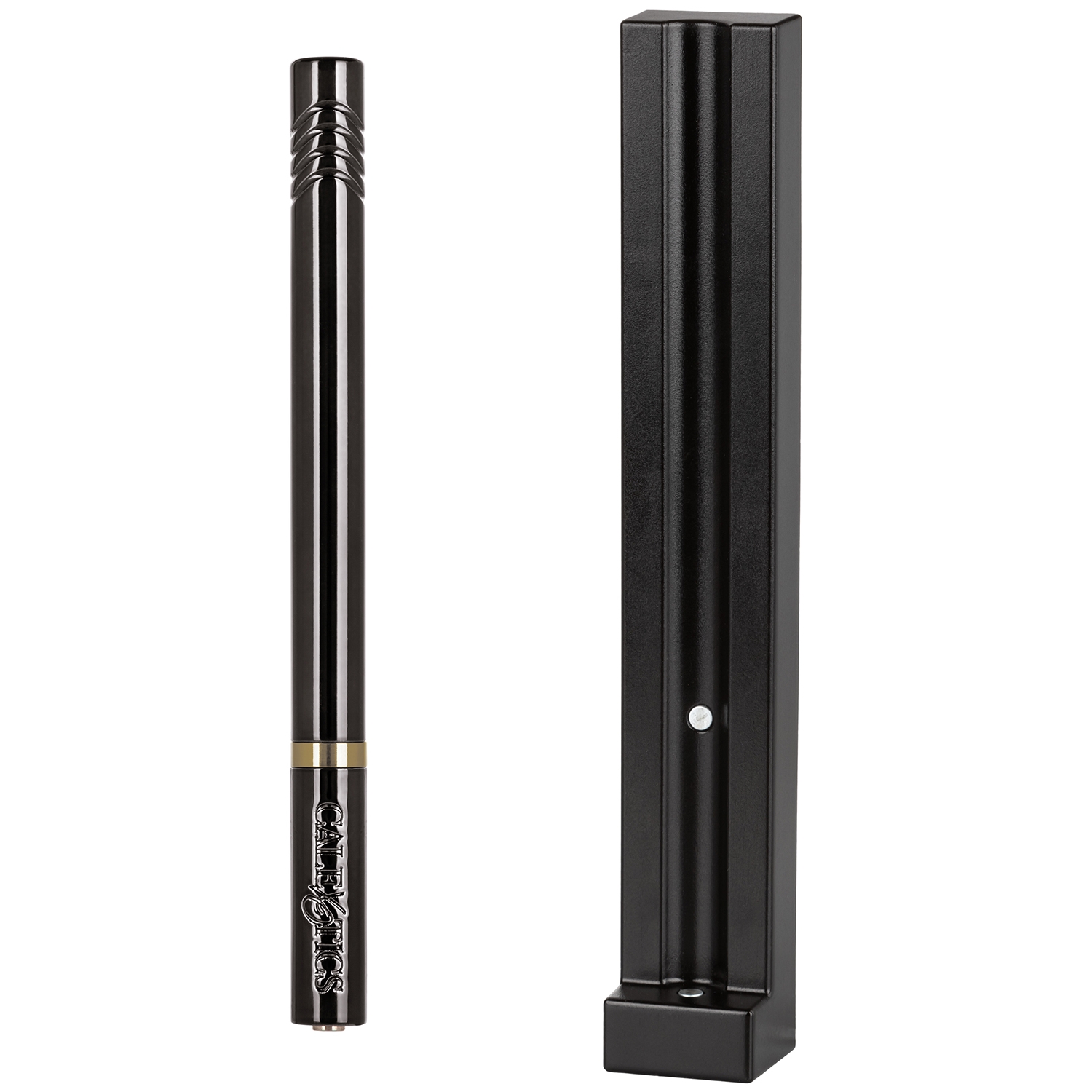 CalExotics Hidden Pleasures Vibrator 1