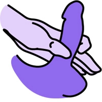 Illustration af en hånd, der holder rundt en penis
