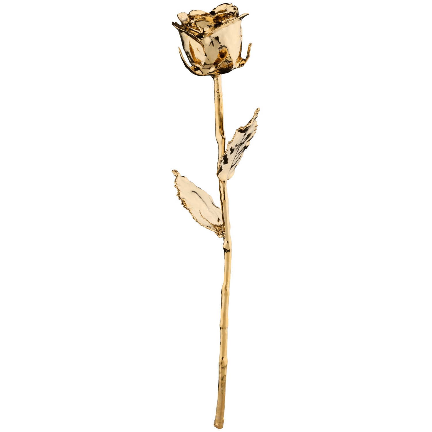 MikaMax 24K Golden Rose 1