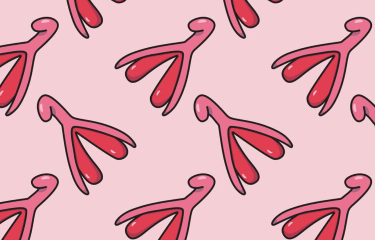 Kuvituskuva klitoriksista vaaleanpunaista taustaa vasten