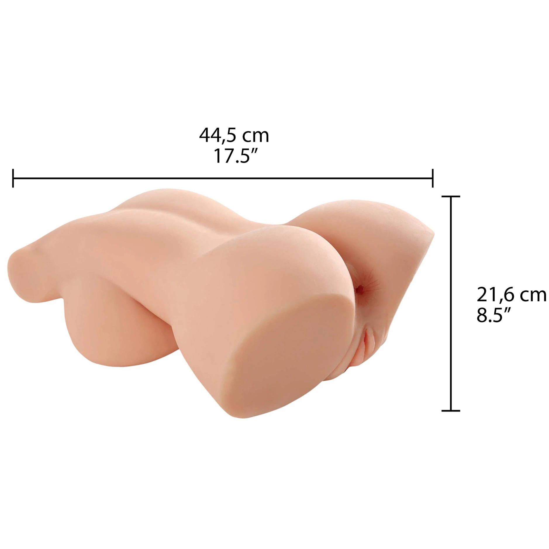 PDX Plus Perfect 10 Torso var 2