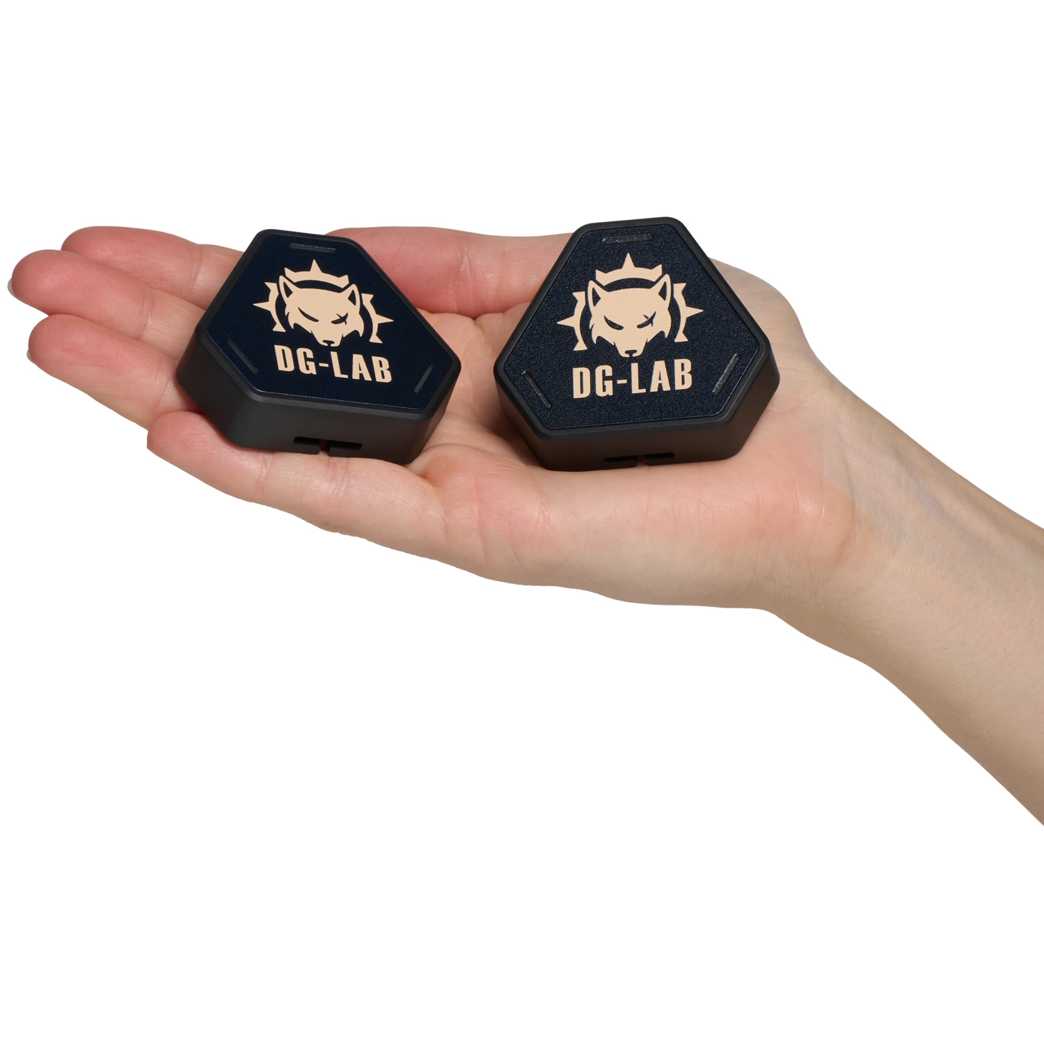 DG-Lab PawPrints Trådlösa knappar var 2