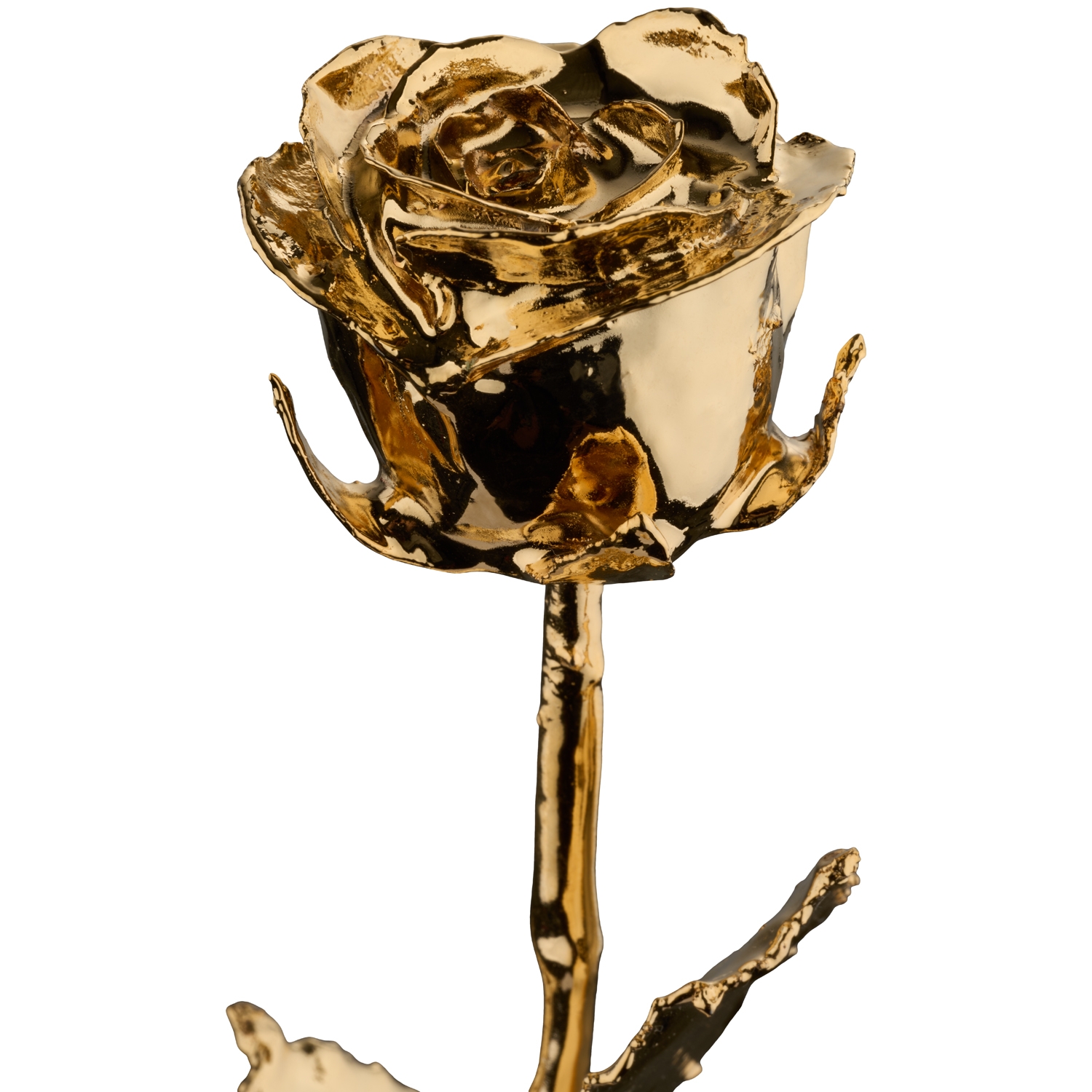 MikaMax 24K Golden Rose 2