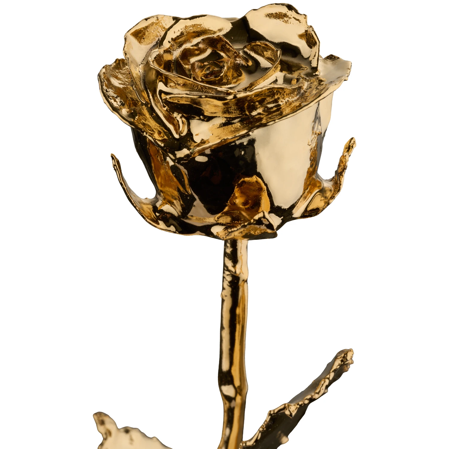 MikaMax 24K Golden Rose 2