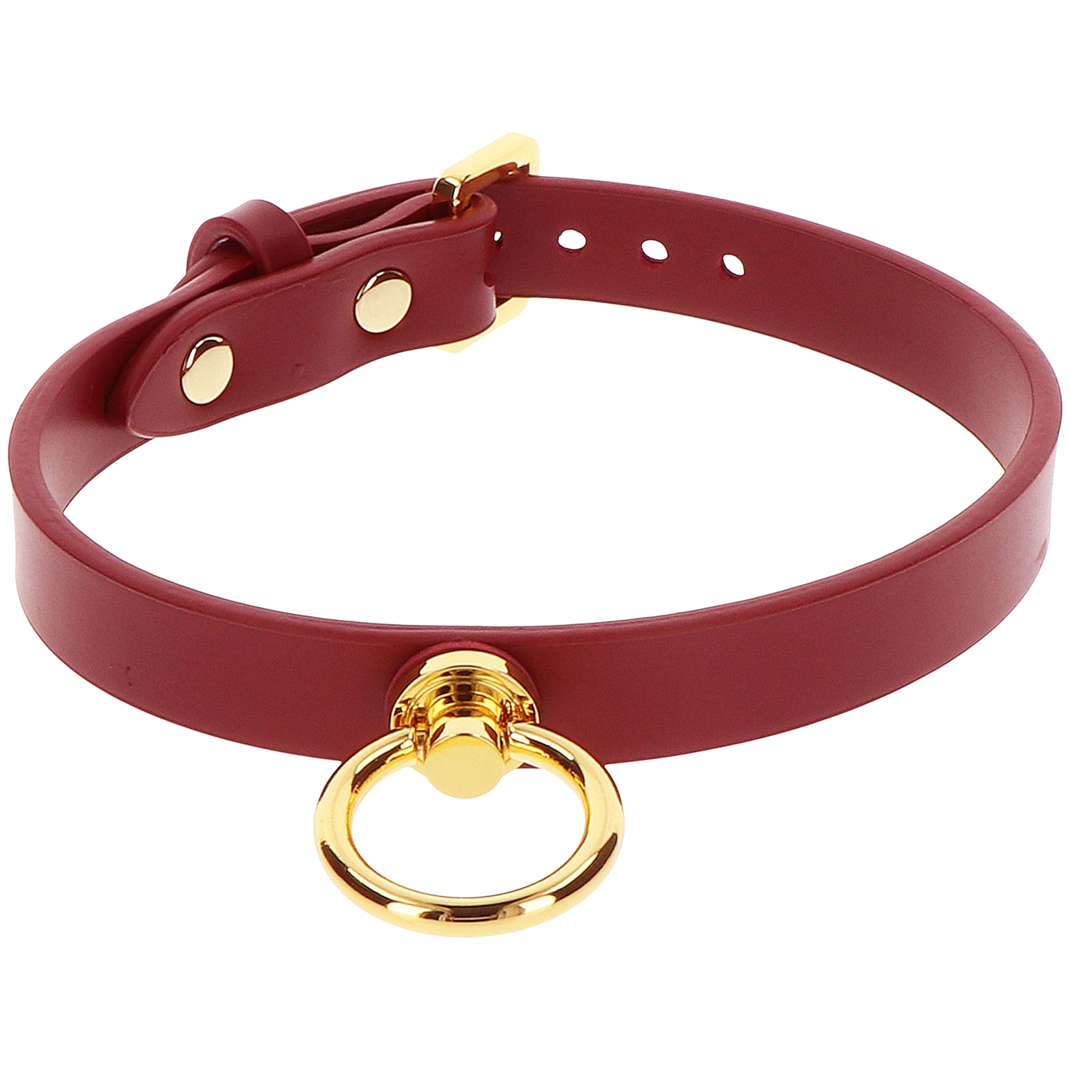 Taboom O-Ring Collar and Chain Leash 1