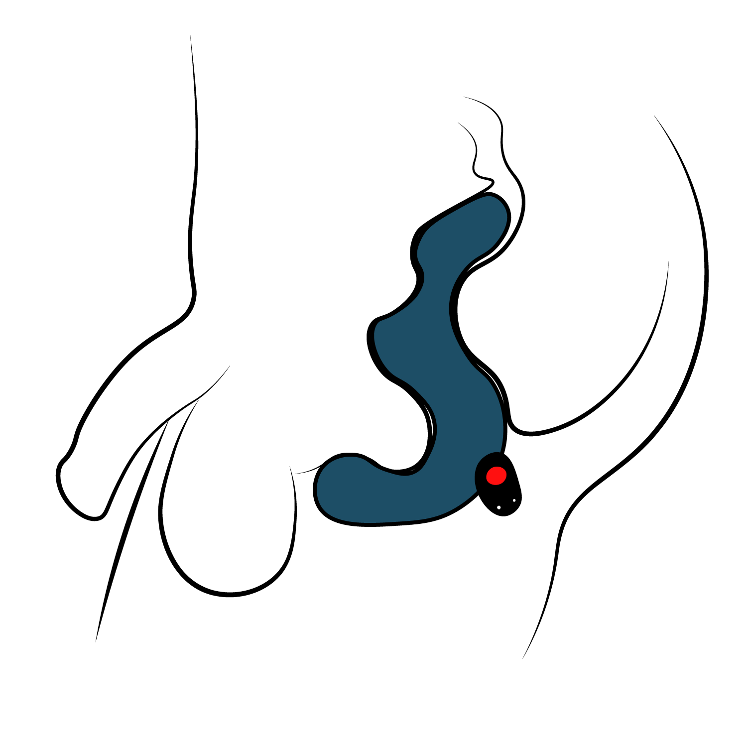 Fun Factory Duke Wiederaufladbarer Prostata-Vibrator 1