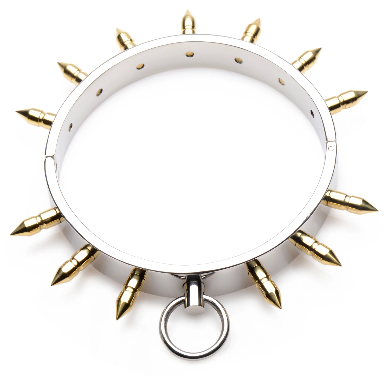 Master Series Spiked Slave Halsbånd 1