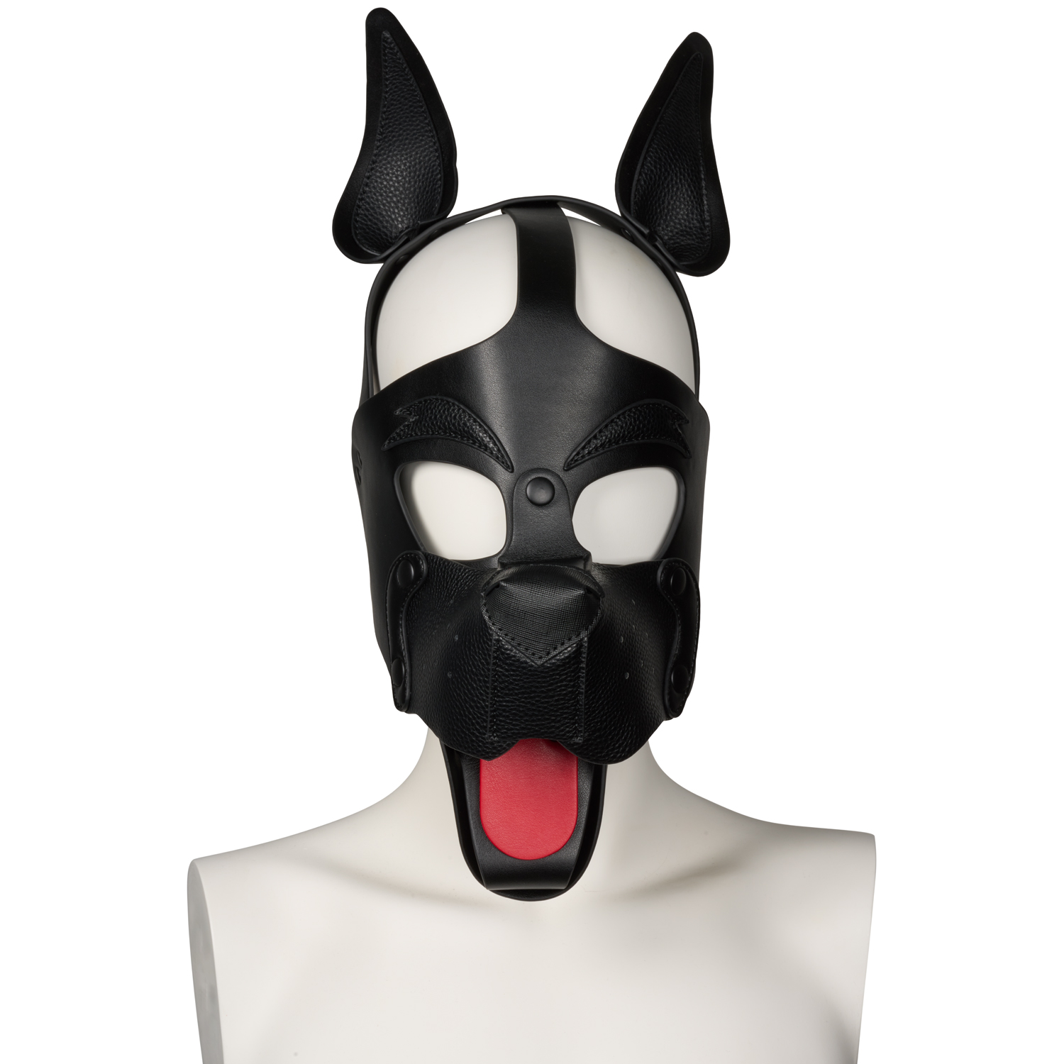 665 Playful Pup Cagoule var 7