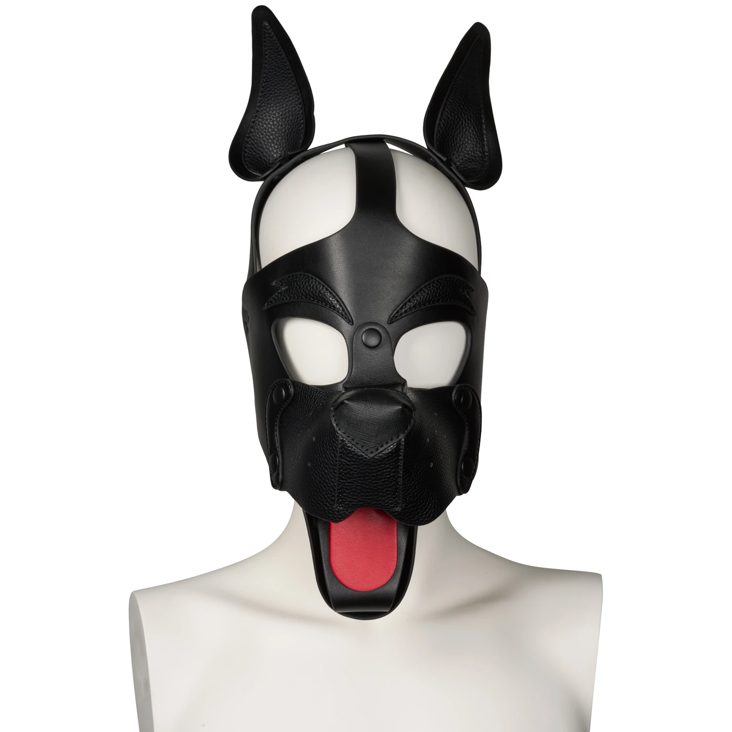 665 Playful Pup Cagoule var 7