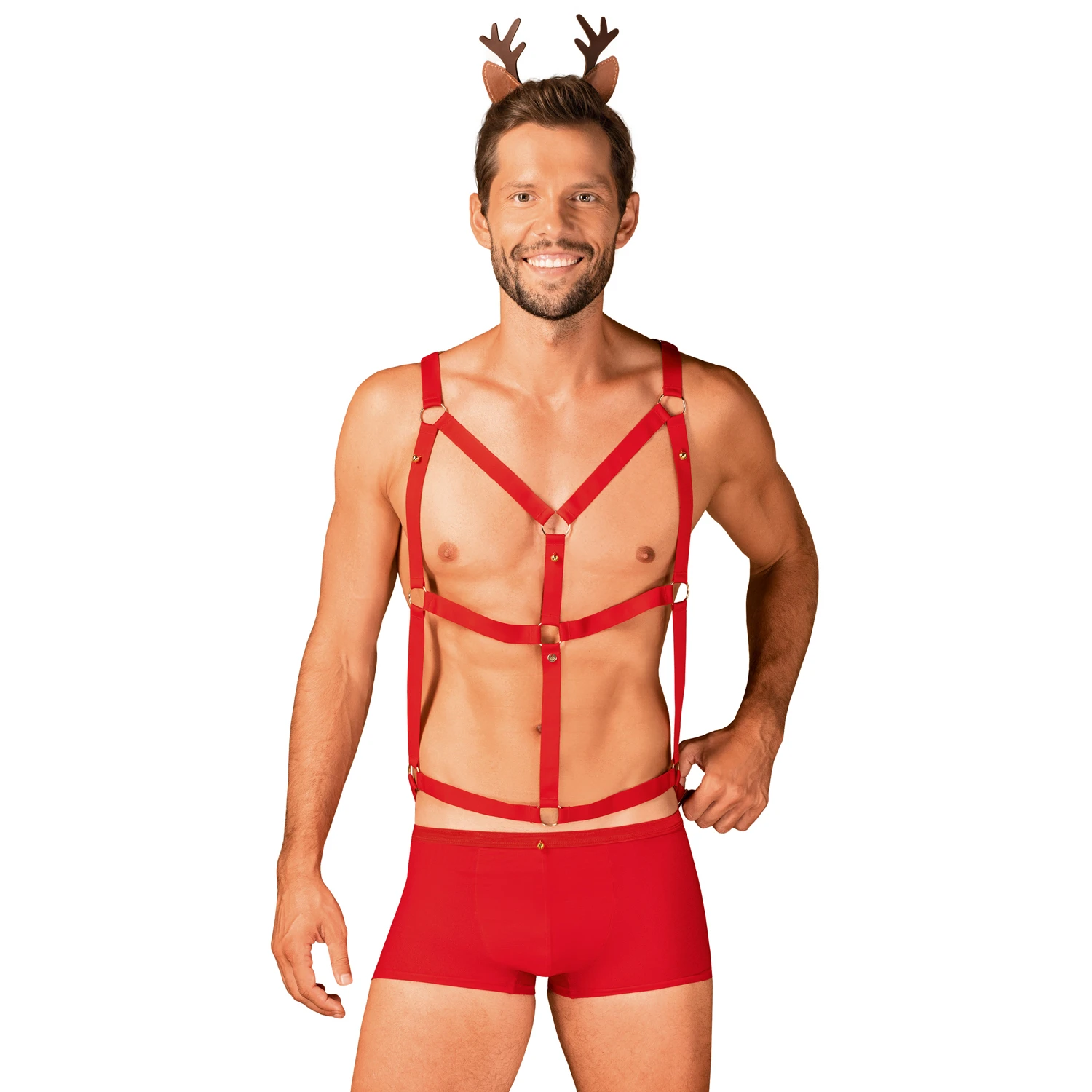 Obsessive Mr Reindy Costume var 1
