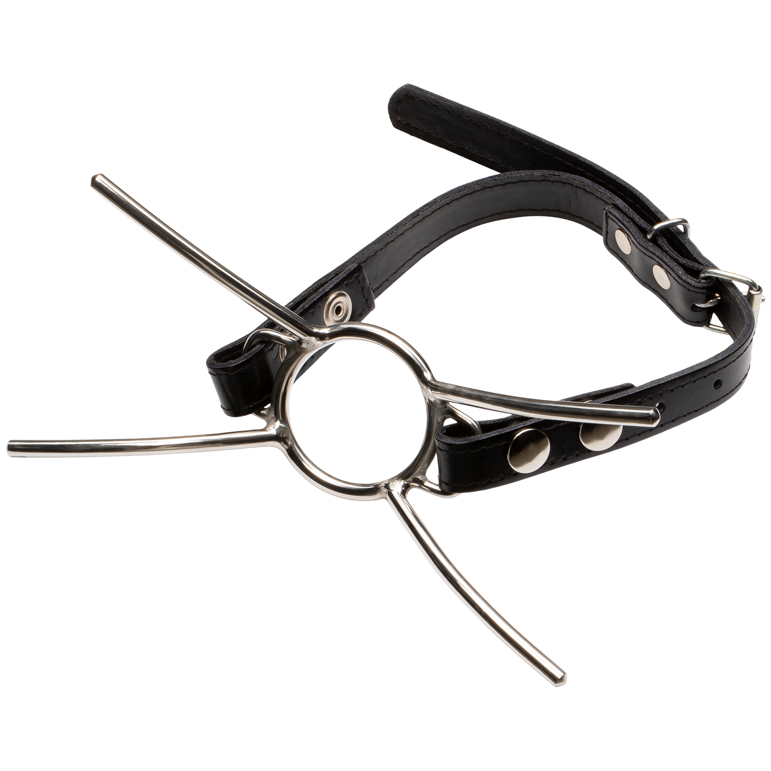 Kiotos Bizarre Cat Mouth Strap Steal Gag 1