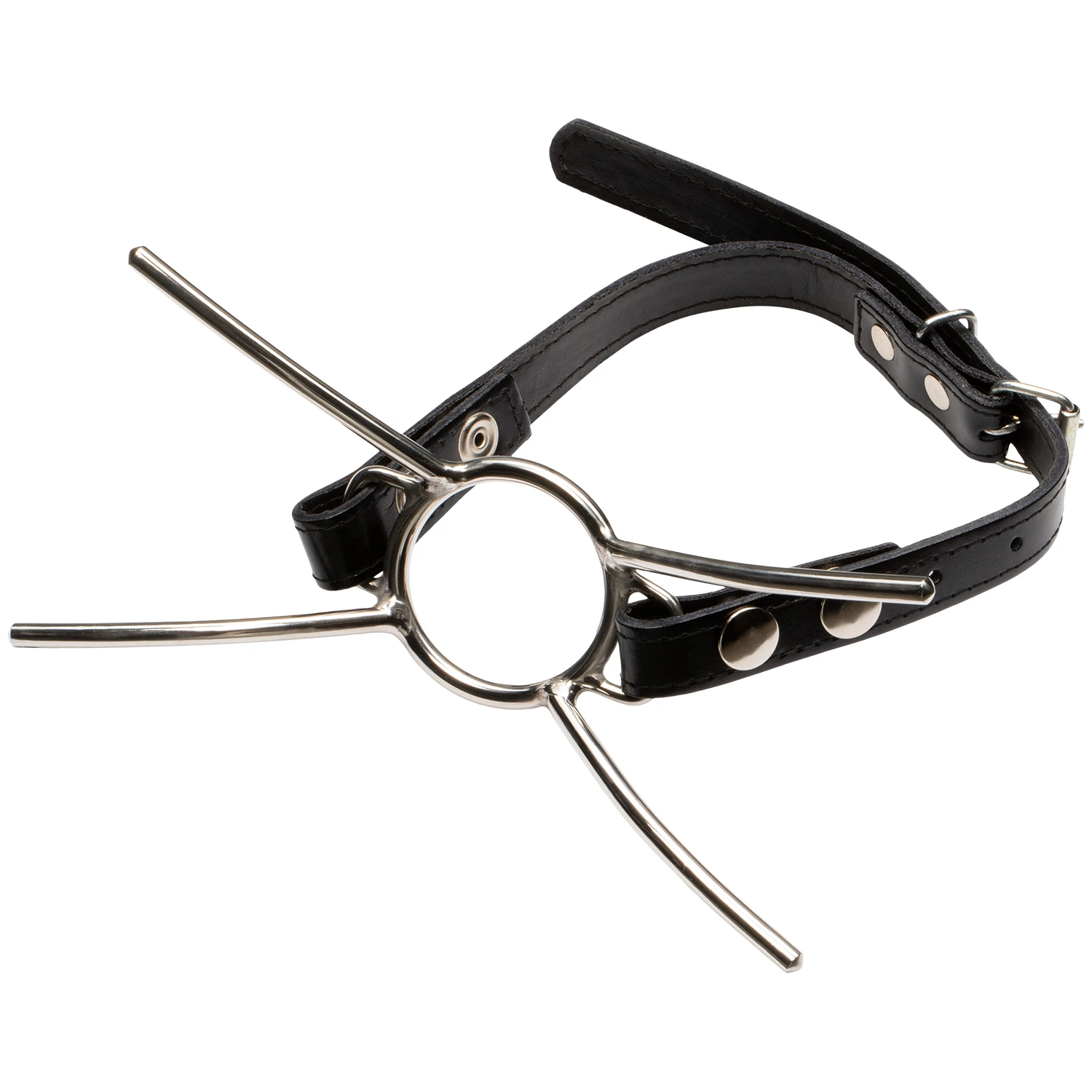 Kiotos Bizarre Cat Mouth Strap Steal Gag 1