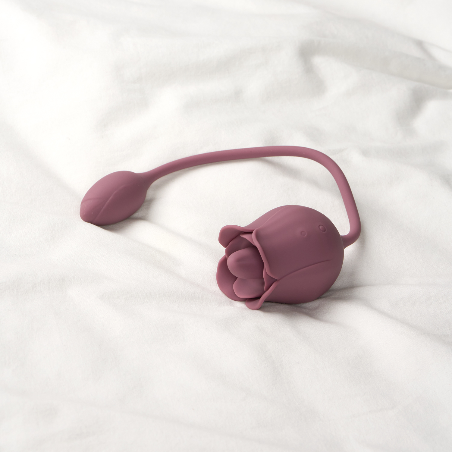 Amaysin Licking Rose Tong Vibrator en Vibratie Ei 1